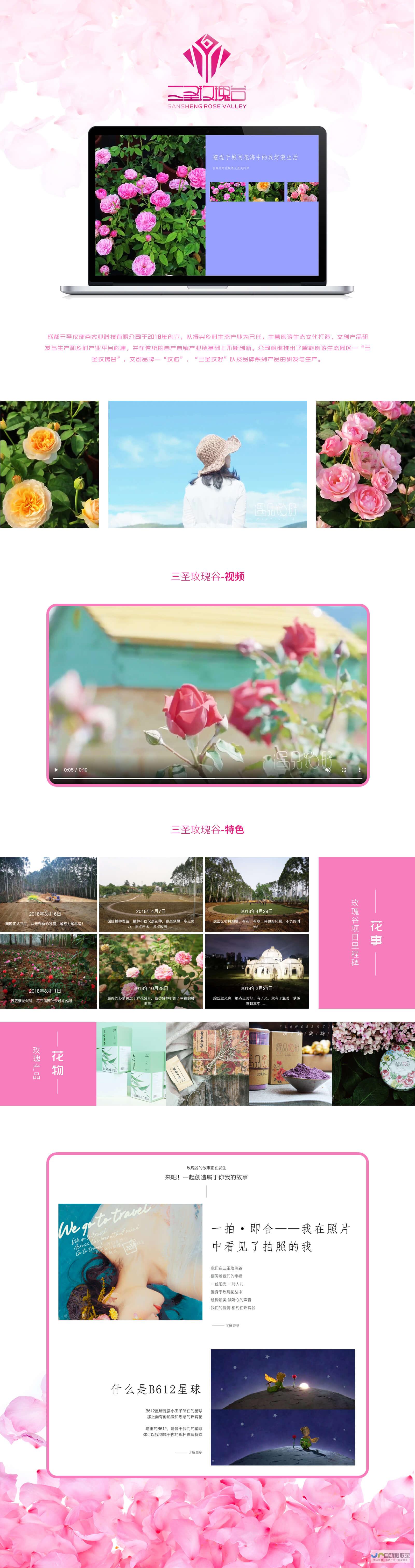 成都网站制作公司：从设计到上线，全方位网站建设服务